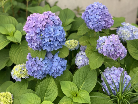 水無月 つむぎの投稿画像