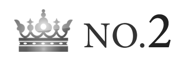 ランキング NO.2 