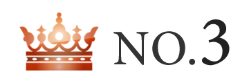 ランキング NO.3 